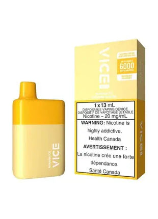 VICE BOX 6000 Puffs Disposable Vape  - 1/Pack - Liberty Vape